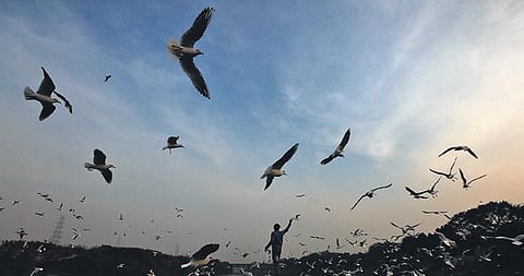 For representational purposes (Photo | Shekhar Yadav, EPS)