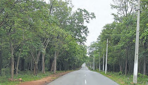 The National Highway-765, which passes through the tiger reserve, connects Hyderabad to Thokapally via Srisailam