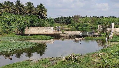 The damaged check dam across Manjapallam river near Kurumbapalayam in Coimbatore. (Photo | EPS)