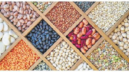 Antinutrients are nutritional, too