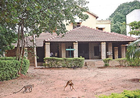 Roerich Estate 