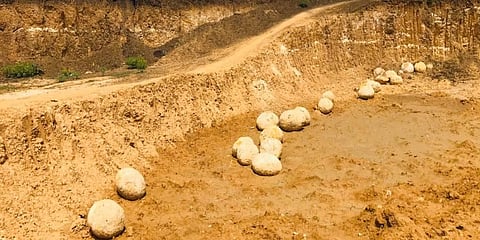 ‘Dinosaur eggs’ draw crowds to Perambalur