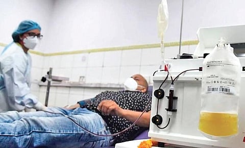 An ICMR study found that the plasma therapy failed to benefit Covid patients | file
