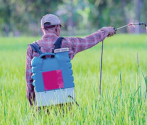 There are over 3,600 victims in Puttur, Belthangady, Sullia and other parts of the district who are entitled to various benefits from the government.