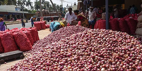 Potato price doubles, onions soften