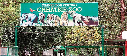 Chandigarh Diary