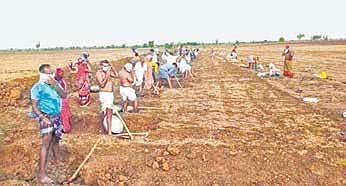There are at least 3,75,585 domestic workers in Karnataka | Express