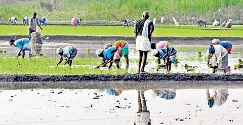 For representational purposes (File photo| EPS)