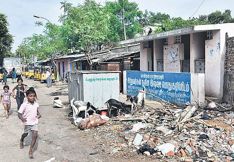 SM Nagar near Pallavan Salai, Photos: Ashwin Prasath, R Satish Babu