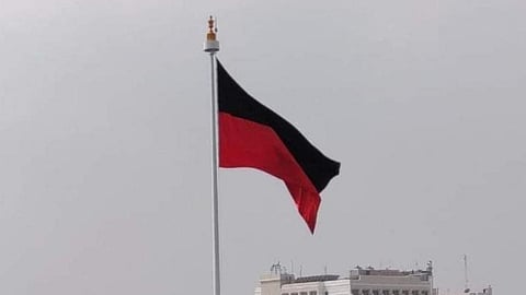 DMK flag used for representative purposes 