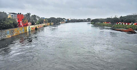 A view of the Adyar river | P Jawahar