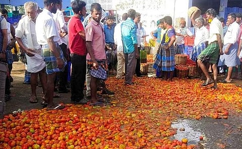 Farmers in Dharmapuri dumped tomatoes near the Palacode tomato market.