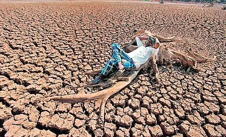 The IISc study shows that these droughts were a consequence of a sudden and steep drop in rainfall in late August | Express