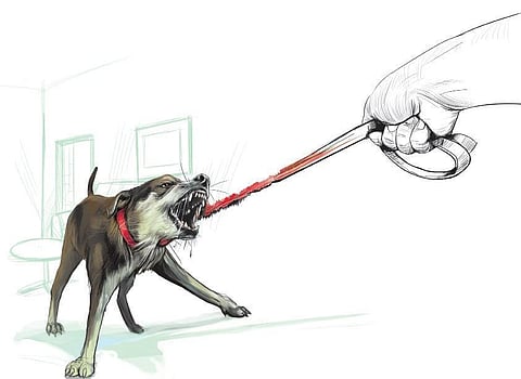 EXPRESS ILLUSTRATION