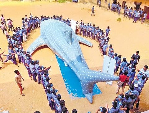 True-to-size whale shark balloon displayed as part of the whale shark conservation campaign by Wildlife Trust of India