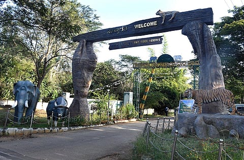 Visitors to BRT Tiger Reserve will have to show their tickets at every entry and exit point to prevent any untoward incidents. (Photo  | Udayshankar S, EPS)