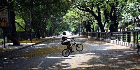 A boy rides bicycle in a empty Cubbon Park road. (Photo |  Nagaraja Gadekal, EPS)