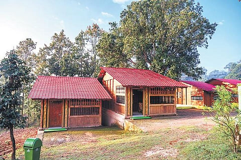 Of the 30 camps, boating facility is available in 20. In Similipal, an added attraction is jungle safari under which two safari vehicles are engaged for visit to waterfalls