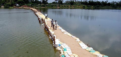 A makeshift bridge built to help people from Tamil Nadu to cross Thenpennaiyar. (File | EPS)