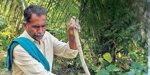 Krishnappa