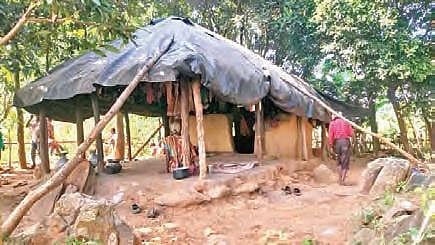 A thatched hut in Chamchata village near Kuldiha wildlife sanctuary | Express