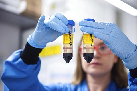 A researcher in a laboratory at the Jenner Institute in Oxford, England, works on the coronavirus vaccine developed by AstraZeneca and Oxford University. (Photo | AP)