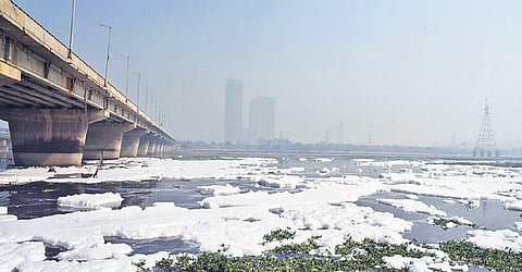 Yamuna pollution rises due to growing ammonia concentration, may affect water supply 