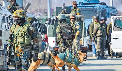 Security personnel at the scene of fight on the outskirts of Srinagar, where three militants were killed in a gunfight | PTI