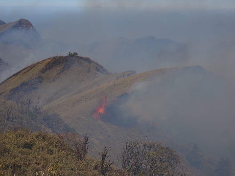 A photo of the Dzukou valley fire. (Photo | Twitter/@NBirenSingh)