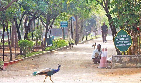 File Picture of KBR Park in Hyderabad. (File photo | EPS)