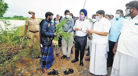 Monitoring officer Gagandeep Singh Bedi, along with Industries Minister  MC Sampath, inspecting crop damage in Cuddalore district on Sunday | Express
