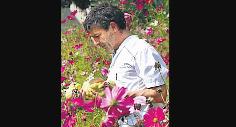 Christophe Dufau