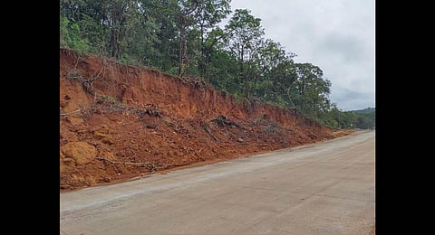 The project led to a massive felling of trees by NHAI in Khanapur taluk | Express
