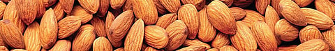 Almonds a day, keeps the exam fever away