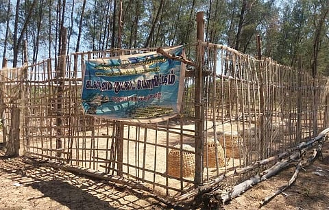 The hatchery in Thenparcoast in Kanniyakumari district.  (Special Arrangement)