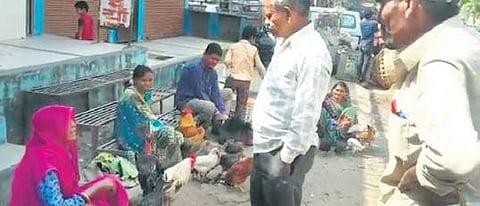 Kadaknath chicken being sold at a market.