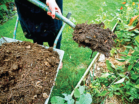 Go-to tool for a gardener