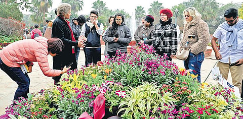 Snapshots of the ongoing 33rd edition of the Garden Tourism Festival, held at the Garden of Five Senses in Saket