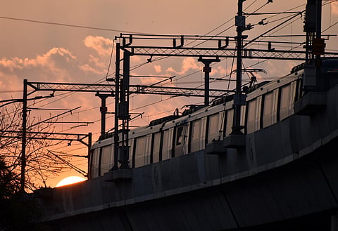 (Photo| S Senbagapandiyan, EPS)