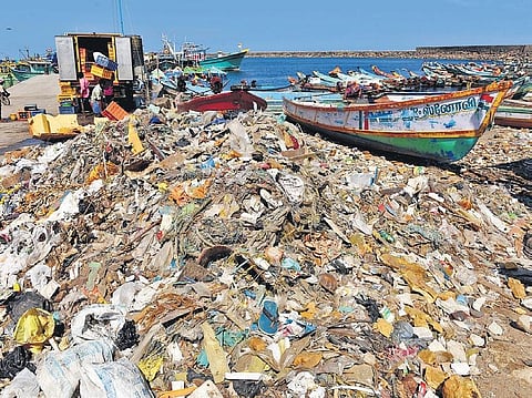Solid wastes, including pieces of wood, are dumped here  R Satish Babu