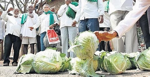 Owing to fall in prices, farmers dump unsold cabbage in front of the DC office as a mark of protest, in Belagavi on Monday  |ASHISKRISHNA HP