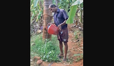 With the shops shut due to the lockdown, a toddy tapper dumps his yield at a coconut grove in Chittur
