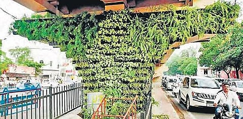 First in India - Green Index to rate development