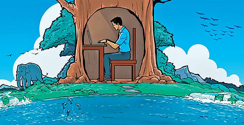 Work from home (Illustrations By Prabha Shankar)