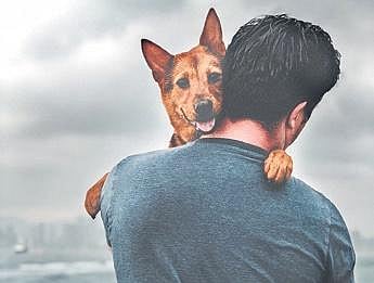 Why pets are your best bets in crisis