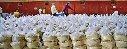 Labour department in association with Infosys Foundation and Akshara Foundation pack grocery boxes to be distributed to labourers, in Bengaluru | SHRIRAM BN
