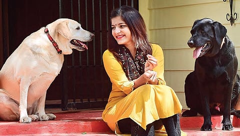 Director of Veterinary and Animal Husbandry department V Lakshma Reddy on Wednesday clarified that pet dogs and cats cannot transmit Coronavirus to humans. 