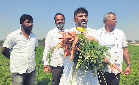 KPCC president DK Shivakumar visited farms in Kolar and Bengaluru Rural district