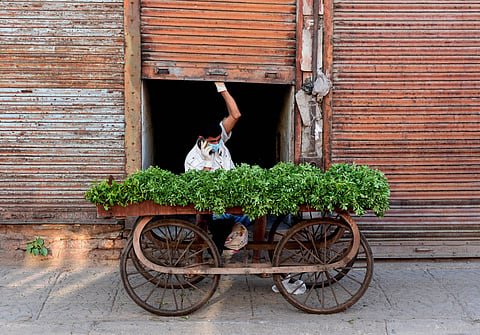 A vegetable during ongoing COVID-19 lockdown in Jalandhar Sunday April 19 2020. (Photo | PTI)
