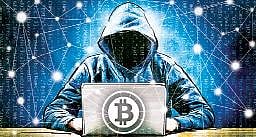 Cyber fraudsters rear their heads